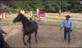 dr dolittle 3-avi_515.jpg